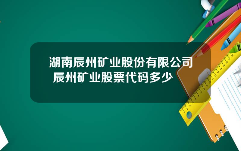 湖南辰州矿业股份有限公司 辰州矿业股票代码多少